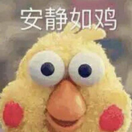 安靜如雞是什么意思?安靜的像只雞什么梗?安相機(jī)粉絲圈常用詞
