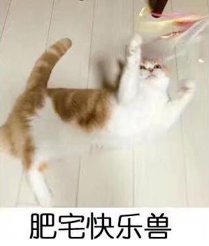 肥宅快樂套餐是什么意思?什么梗?肥宅快樂套餐表情包火遍網(wǎng)絡(luò)
