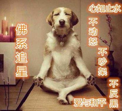 佛系是什么意思什么梗?佛系及衍生詞語刷屏 佛系和佛教有關(guān)系嗎
