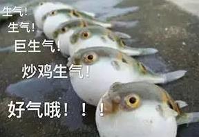 對不起了行了吧是什么意思?原來“對不起行了吧”的意思不是對不起