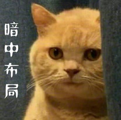我有一個大膽的想法是什么意思什么梗?我有一個無恥又大膽的想法