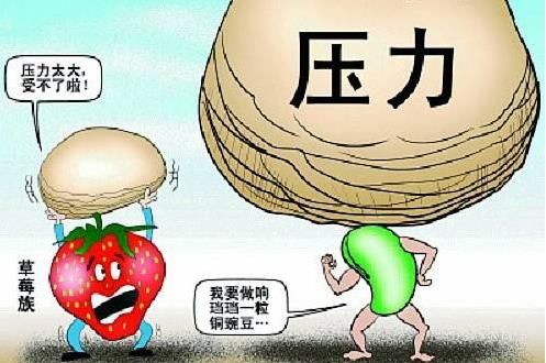 榴蓮族是什么意思什么梗?職場人士中你是榴蓮族還是草莓族?