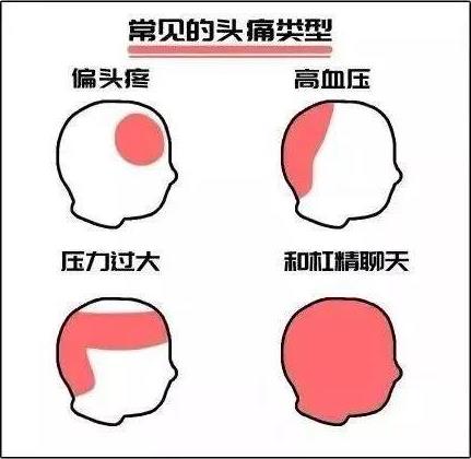 杠精是什么意思什么梗?杠精的特征表現(xiàn) 遇到杠精怎么辦如何應對
