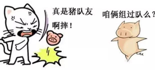 豬一樣的隊友是什么意思什么梗?豬隊友特點 諷刺豬一樣的隊友段子