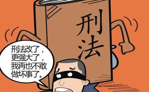 我國有一套完整的刑法是什么意思什么梗?快收起你那大膽的想法
