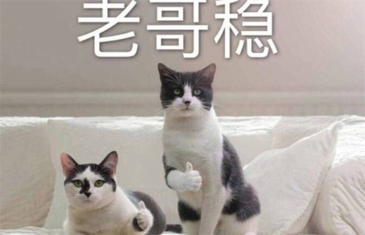老哥穩(wěn)什么意思什么梗 老哥穩(wěn)是夸贊對方很厲害