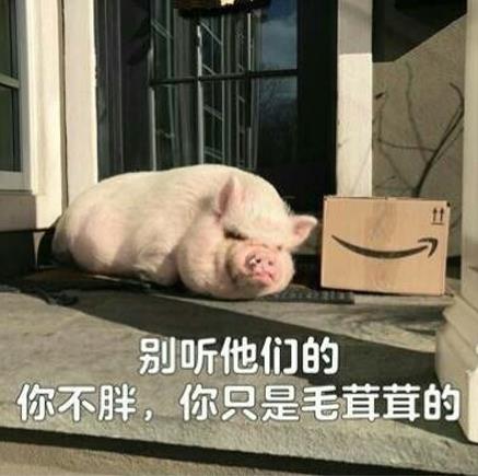 豬豬女孩是什么意思什么梗?什么是精致的豬豬女孩