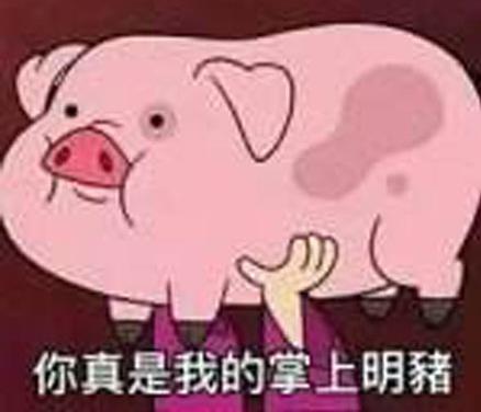 豬豬女孩是什么意思什么梗?什么是精致的豬豬女孩