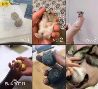 盤它是什么意思什么梗 甭管是啥盤它就對了 2019年首個網(wǎng)絡(luò)流行語