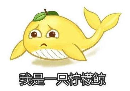 《咬文嚼字》編輯部發(fā)布2019年十大最火網絡流行語 996我太南/難了