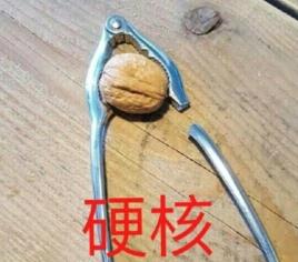 硬核是什么意思什么梗?2019年十大流行語之硬核相關(guān)段子及示例