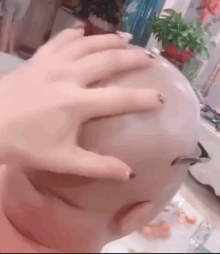 盤它是什么意思什么梗 甭管是啥盤它就對了 2019年首個網(wǎng)絡(luò)流行語