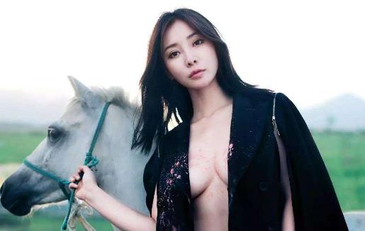 柳巖個(gè)人資料簡介 柳巖圖片 柳巖演過的電視劇 柳巖的胸有多大