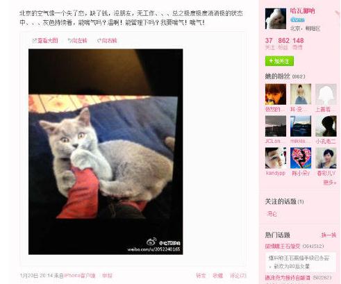王石新歡田樸珺微博曝光,二人巴西吃烤肉,微博曬同一只貓