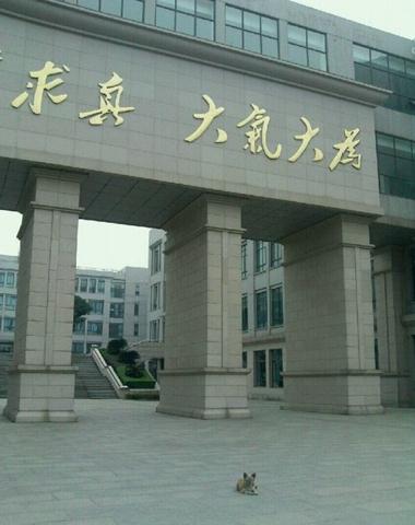 “學(xué)霸狗”電子科技大學(xué)蹭課走紅,最愛英語(yǔ)和概率網(wǎng)友力挺讀研