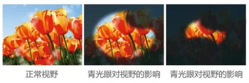 360截圖20210901110238311.jpg