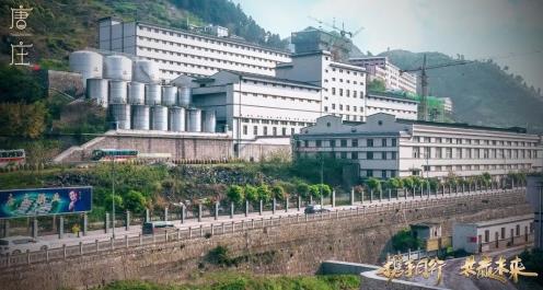 唐莊酒業(yè)實力圈粉,攜手楊爍傳承醬酒文化