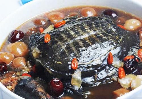 哪些人不適合吃甲魚？食用甲魚的注意事項(xiàng)
