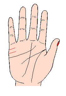 小指第三關(guān)節(jié)線條至感情線之間