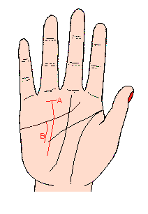 太陽(yáng)線在感情線上停下來(lái)不再伸長(zhǎng)
