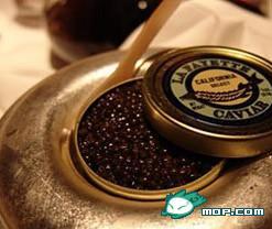 超級(jí)富豪才吃得起的食物：阿爾馬斯魚(yú)子醬-＄25,000