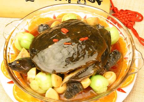 甲魚(yú)不能和什么一起吃？吃甲魚(yú)有哪些飲食禁忌