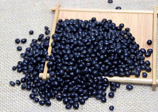 常食黑豆有助懷孕有科學(xué)依據(jù)嗎？