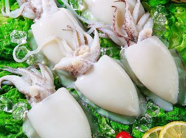 墨魚的營養(yǎng)價(jià)值