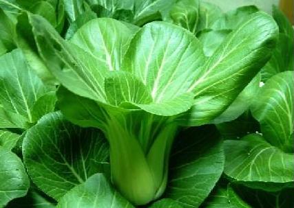 青菜的營養(yǎng)價值-吃青菜的好處