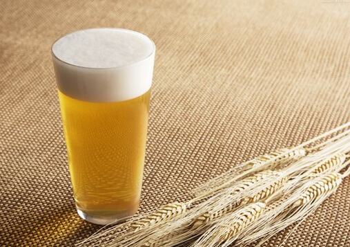適度飲酒有助于預(yù)防關(guān)節(jié)炎