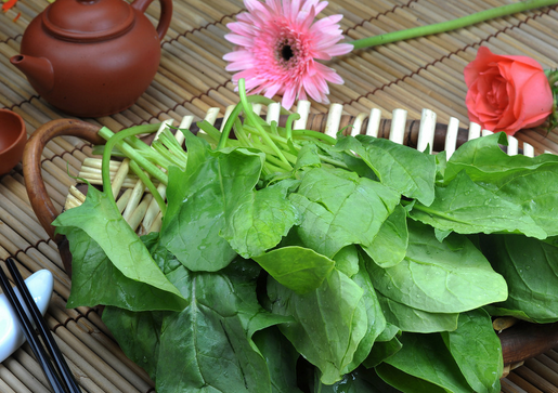 菠菜+堅(jiān)果可以保護(hù)視力-食物正確搭配營(yíng)養(yǎng)更好