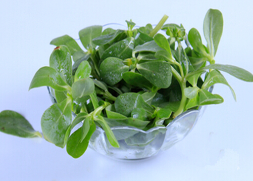 涼拌菜怎么吃才健康？吃涼拌菜最好放抗菌菜