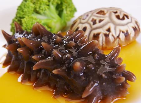 海參不能和什么一起吃？海參的5大食用禁忌