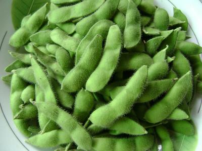 吃毛豆的好處-毛豆怎么吃有營(yíng)養(yǎng)