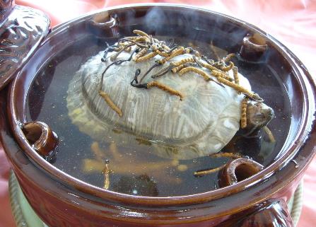 喝甲魚(yú)血能治陽(yáng)痿嗎？吃甲魚(yú)血的好處
