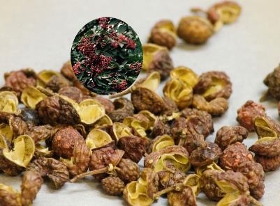 花椒的藥用價(jià)值-花椒能治療哪些病