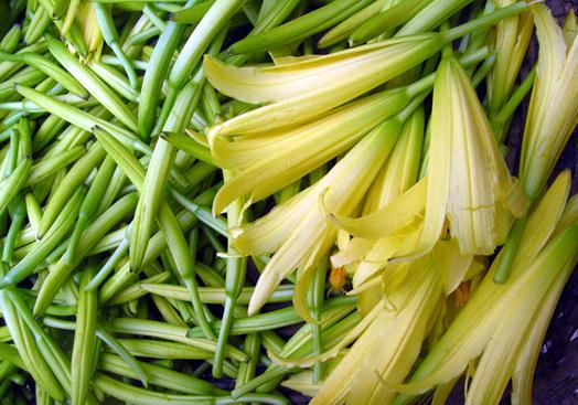 黃花菜的營養(yǎng)價(jià)值-黃花菜的功效與作用