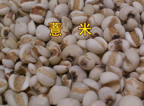 薏米的功效與作用-薏米的營(yíng)養(yǎng)價(jià)值