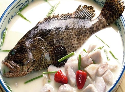 石斑魚的營養(yǎng)價值-石斑魚的食療作用-石斑魚燉芋艿