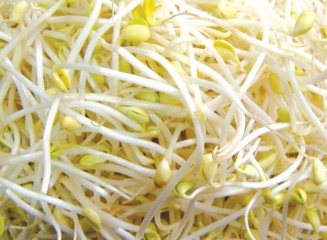 黃豆芽的營養(yǎng)價值-黃豆芽的功效與作用