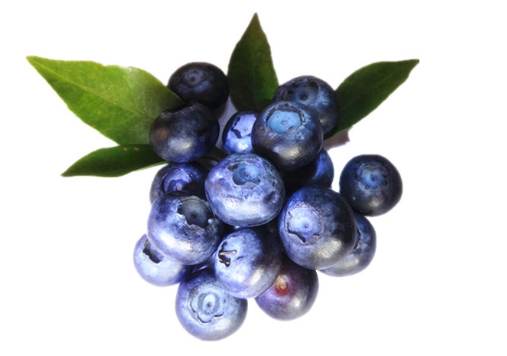 藍(lán)莓的營養(yǎng)價(jià)值-藍(lán)莓怎么吃？