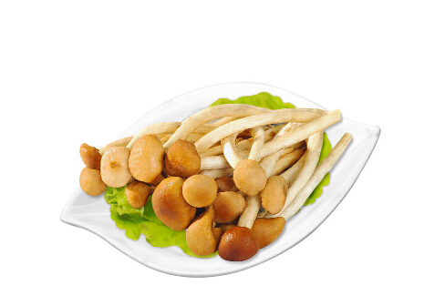 茶樹(shù)菇的做法-茶樹(shù)菇的功效與作用