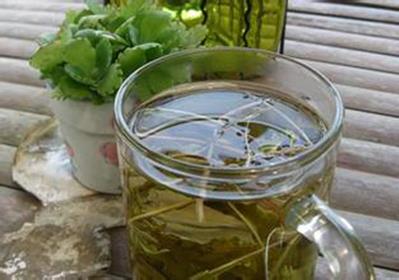 蒲公英泡水喝好嗎？蒲公英泡水喝的功效