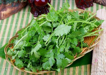 香菜怎么吃？香菜的營養(yǎng)價(jià)值、功效與作用