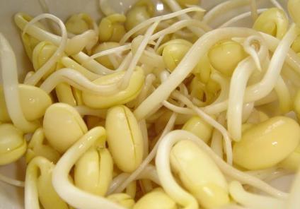 吃黃豆芽好嗎？黃豆芽的營養(yǎng)價值、功效與作用
