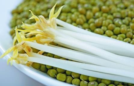 綠豆芽怎么做好吃？綠豆芽的營(yíng)養(yǎng)價(jià)值、功效與作用