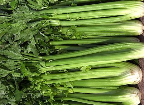 吃芹菜好嗎？芹菜的營(yíng)養(yǎng)價(jià)值、功效與作用
