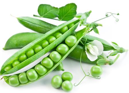 吃豌豆有什么好處？豌豆的功效與作用及禁忌