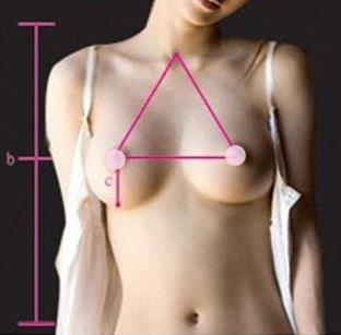 胸圍怎么算？你的胸圍是否標準？女人完美乳房標準詳細圖解