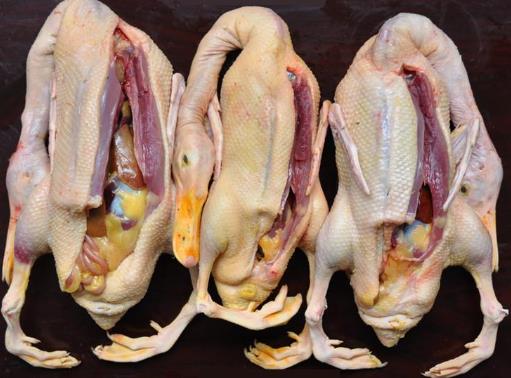 如何鑒別鴨肉是否鮮嫩？鑒別鴨肉老嫩的技巧